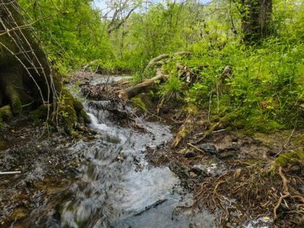 Property in Williamson County, Tennessee