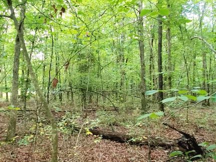 Ranch Property in Grundy County, Tennessee