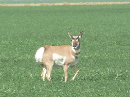 Ranch Property for sale in Lake County, Oregon