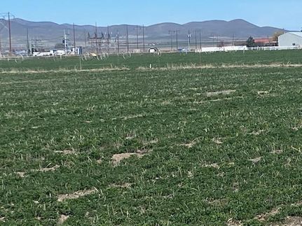 Farm Property in Oneida County, Idaho