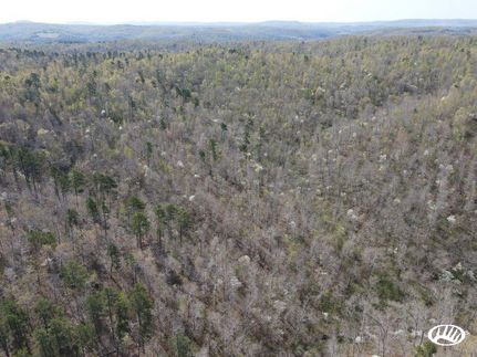 Hunting Land in Searcy County, Arkansas