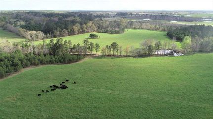 Property in Dodge County, Georgia