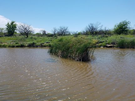 Farm Property in Callahan County, Texas