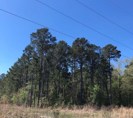 Farm Property in Drew County, Arkansas