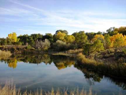Hunting Land in Pueblo County, Colorado