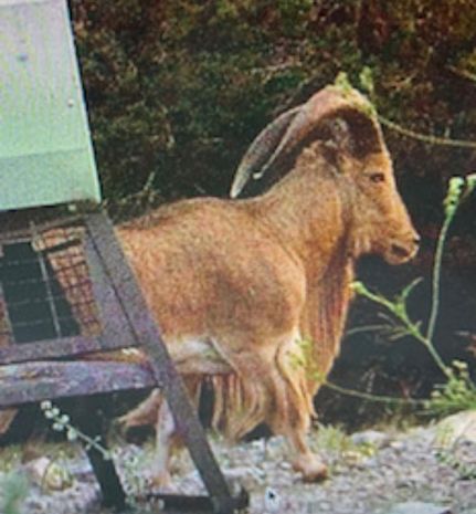 Farm Property in Kinney County, Texas