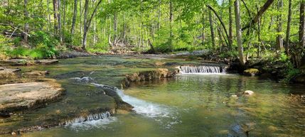 Timberland Property in Summers County, West Virginia