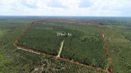 Property in Brantley County, Georgia