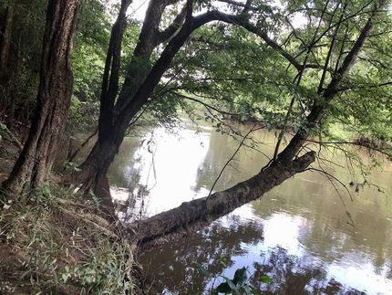 Waterfront Property in Houston County, Georgia