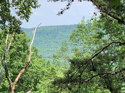 Recreational Property in Chattooga County, Georgia