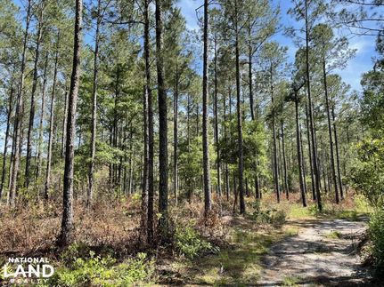 Farm Property in Charleston County, South Carolina
