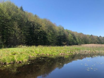 Farm Property in Oswego County, New York