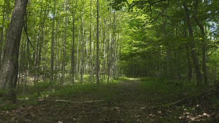 Farm Property in Hancock County, Tennessee