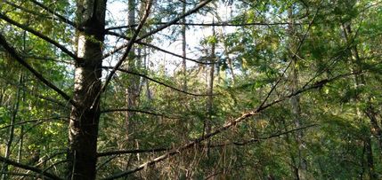 Ranch Property in Shasta County, California
