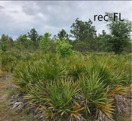 Ranch Property in Osceola County, Florida