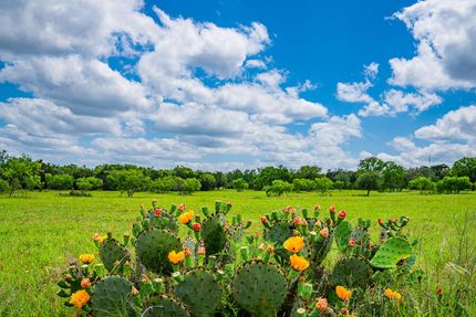 Ranch Property in Gillespie County, Texas