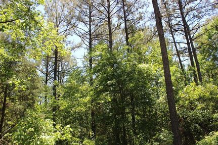 Property in Upson County, Georgia