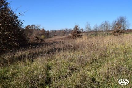 Farm Property in Shelby County, Illinois