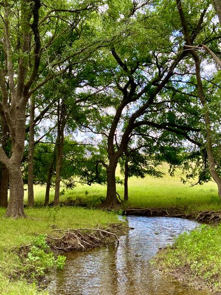 Ranch Property in Coryell County, Texas