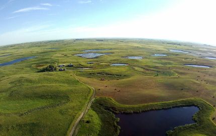 Undeveloped Land in Sheridan County, North Dakota