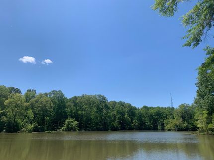 Timberland Property in Warren County, Mississippi