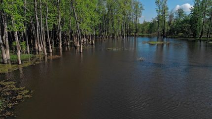 Lakefront Property in Ballard County, Kentucky