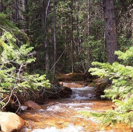 Waterfront Property in Clear Creek County, Colorado