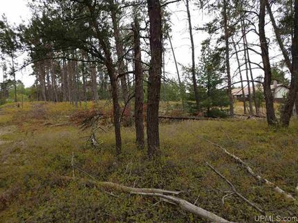 Ranch Property in Marquette County, Michigan