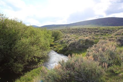 Hunting Land in Beaverhead County, Montana