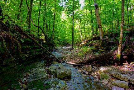 Property in Barry County, Missouri