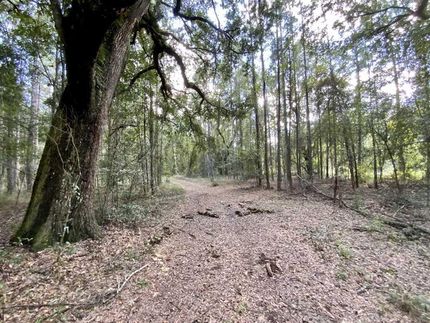 Property in Lafayette County, Florida