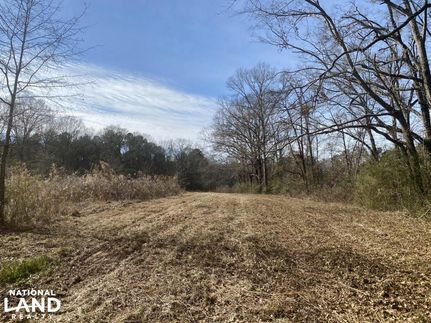 Farm Property in Dallas County, Alabama