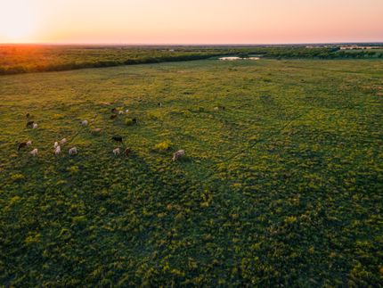 Residential Property in Callahan County, Texas