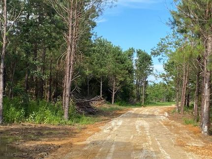 Undeveloped Land in Baldwin County, Alabama