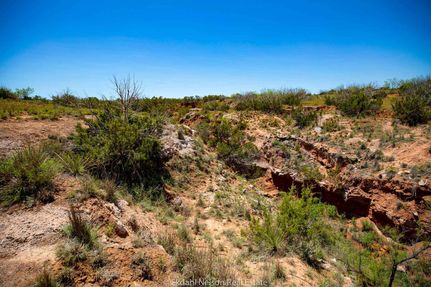 Farm Property in Scurry County, Texas
