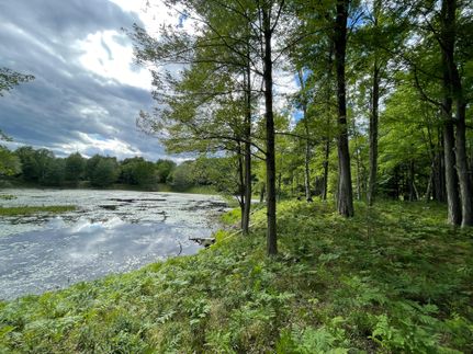 Timberland Property in Mecosta County, Michigan
