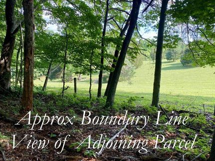 Farm Property in Surry County, North Carolina
