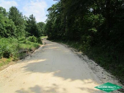 Undeveloped Land in Newton County, Texas