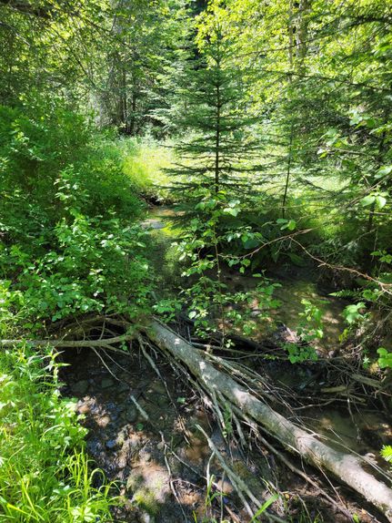 Recreational Property in Stevens County, Washington