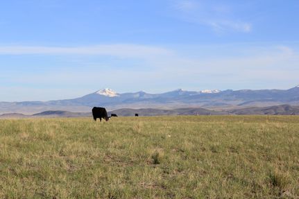 Horse Property in Beaverhead County, Montana