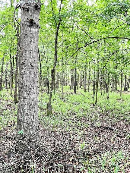 Farm Property in Jones County, Georgia