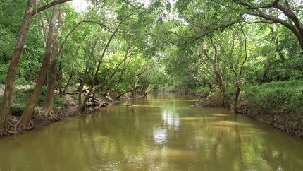 Farm Property in Jackson County, Texas
