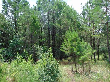 Farm Property in Le Flore County, Oklahoma