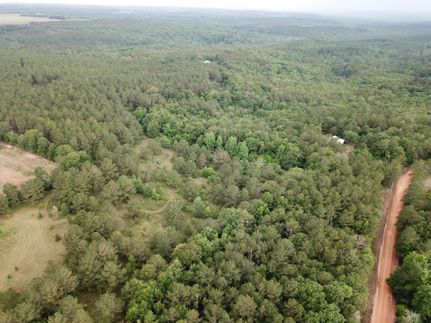 Farm Property in Crenshaw County, Alabama