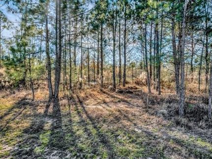 Recreational Property in Polk County, Texas