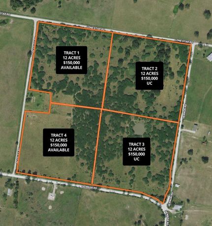 Undeveloped Land in Madison County, Texas