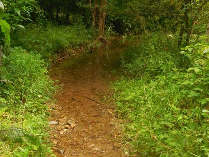 Property in Jackson County, Tennessee