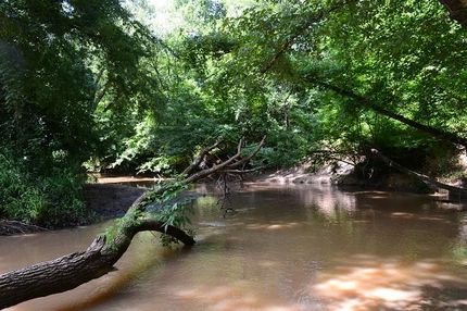 Farm Property in Crawford County, Georgia