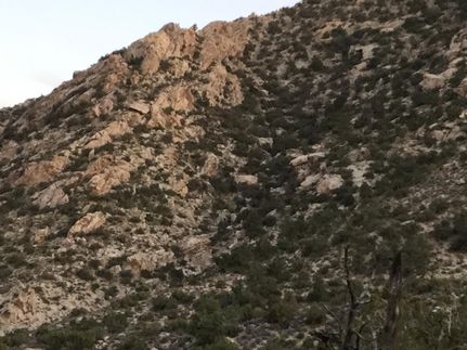 Farm Property in Clark County, Nevada