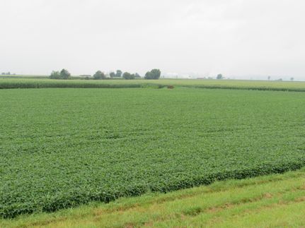 Property in Lee County, Iowa